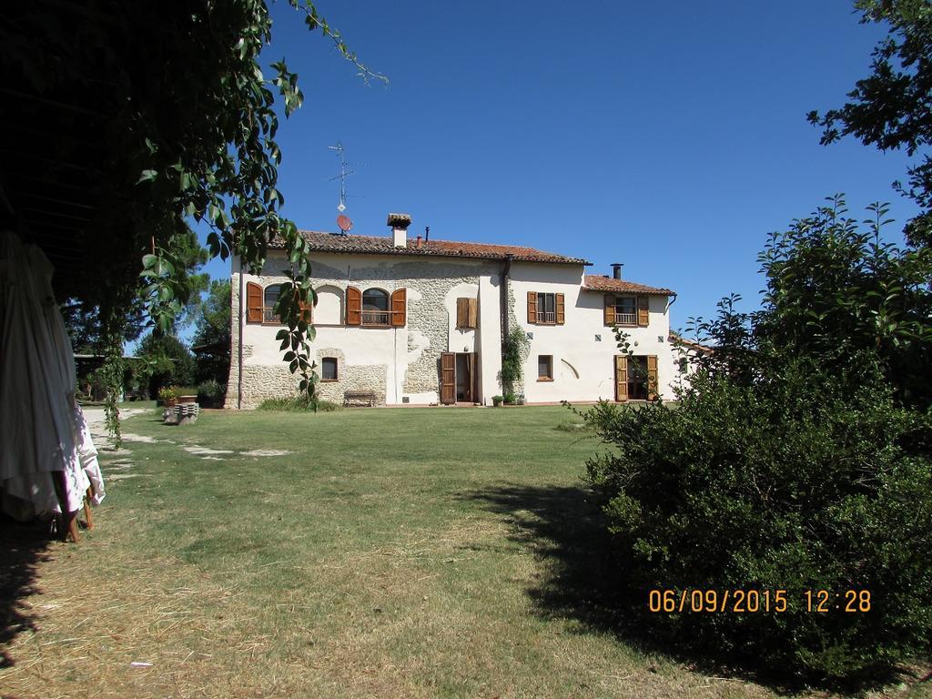 Agriturismo Ca'De'Gatti Faenza Exterior photo