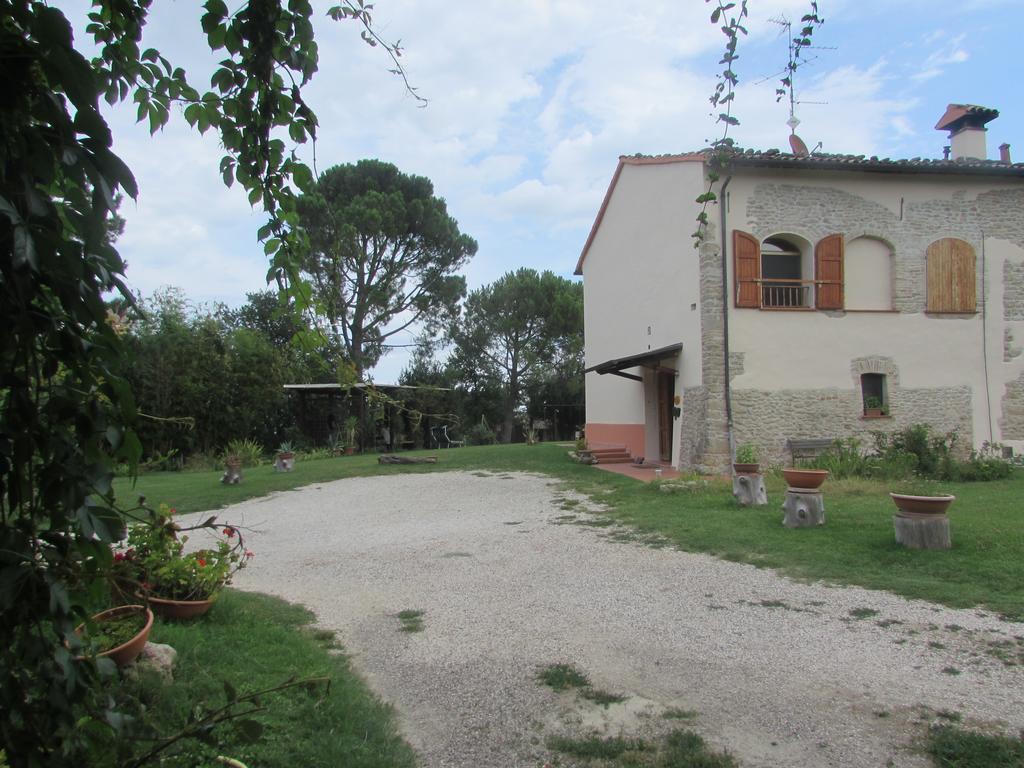 Agriturismo Ca'De'Gatti Faenza Exterior photo