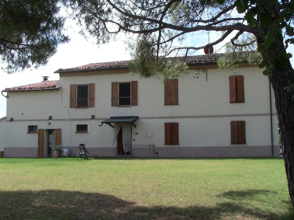 Agriturismo Ca'De'Gatti Faenza Exterior photo