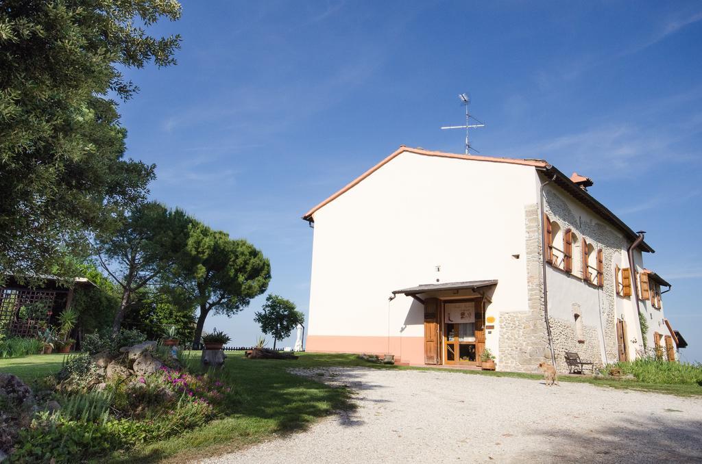 Agriturismo Ca'De'Gatti Faenza Exterior photo