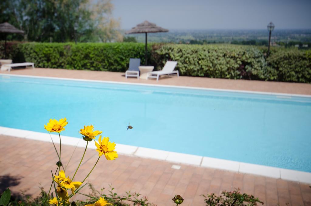 Agriturismo Ca'De'Gatti Faenza Exterior photo